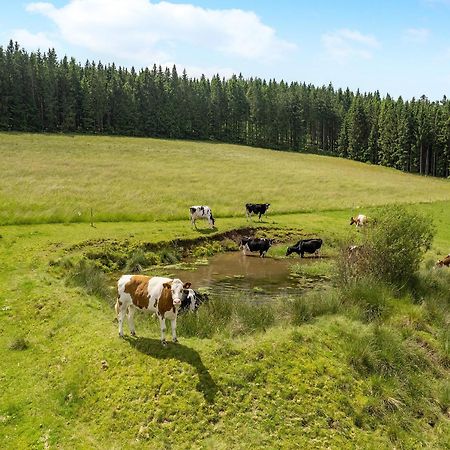 Ferienwohnung Duffner Schonach im Schwarzwald Eksteriør billede