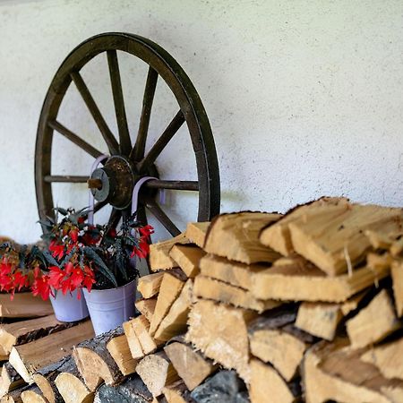 Ferienwohnung Duffner Schonach im Schwarzwald Eksteriør billede