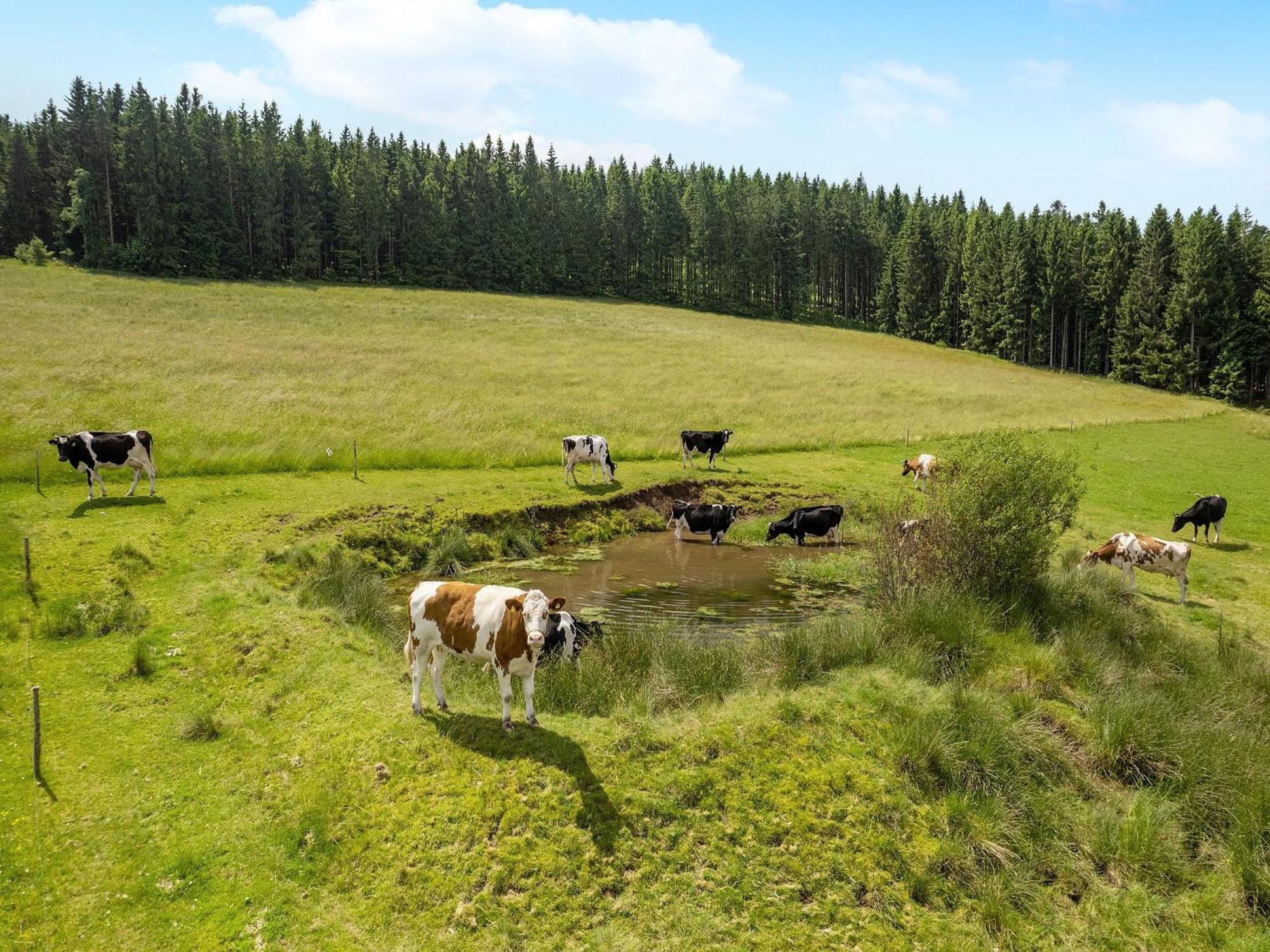 Ferienwohnung Duffner Schonach im Schwarzwald Eksteriør billede