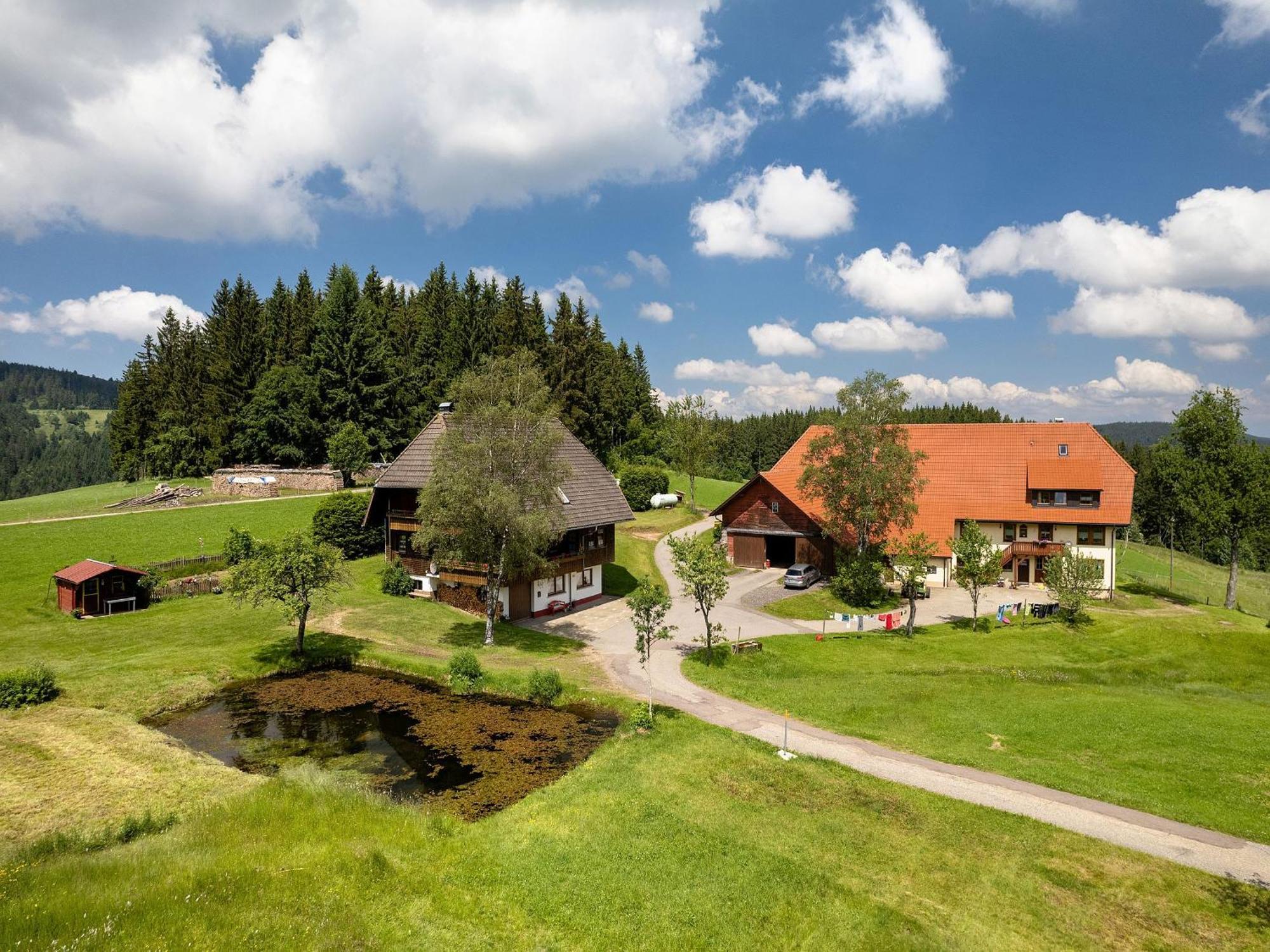 Ferienwohnung Duffner Schonach im Schwarzwald Eksteriør billede