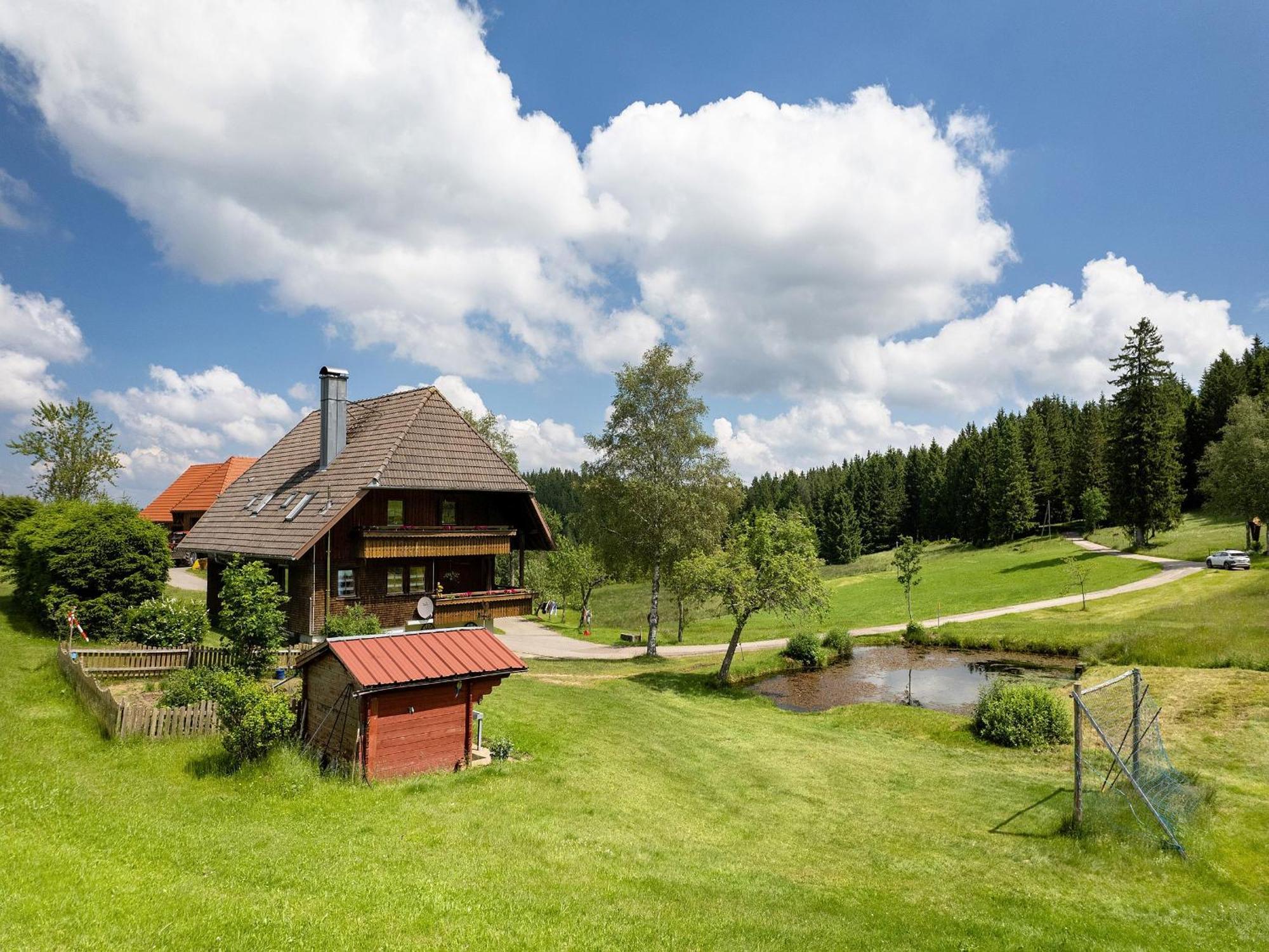 Ferienwohnung Duffner Schonach im Schwarzwald Eksteriør billede